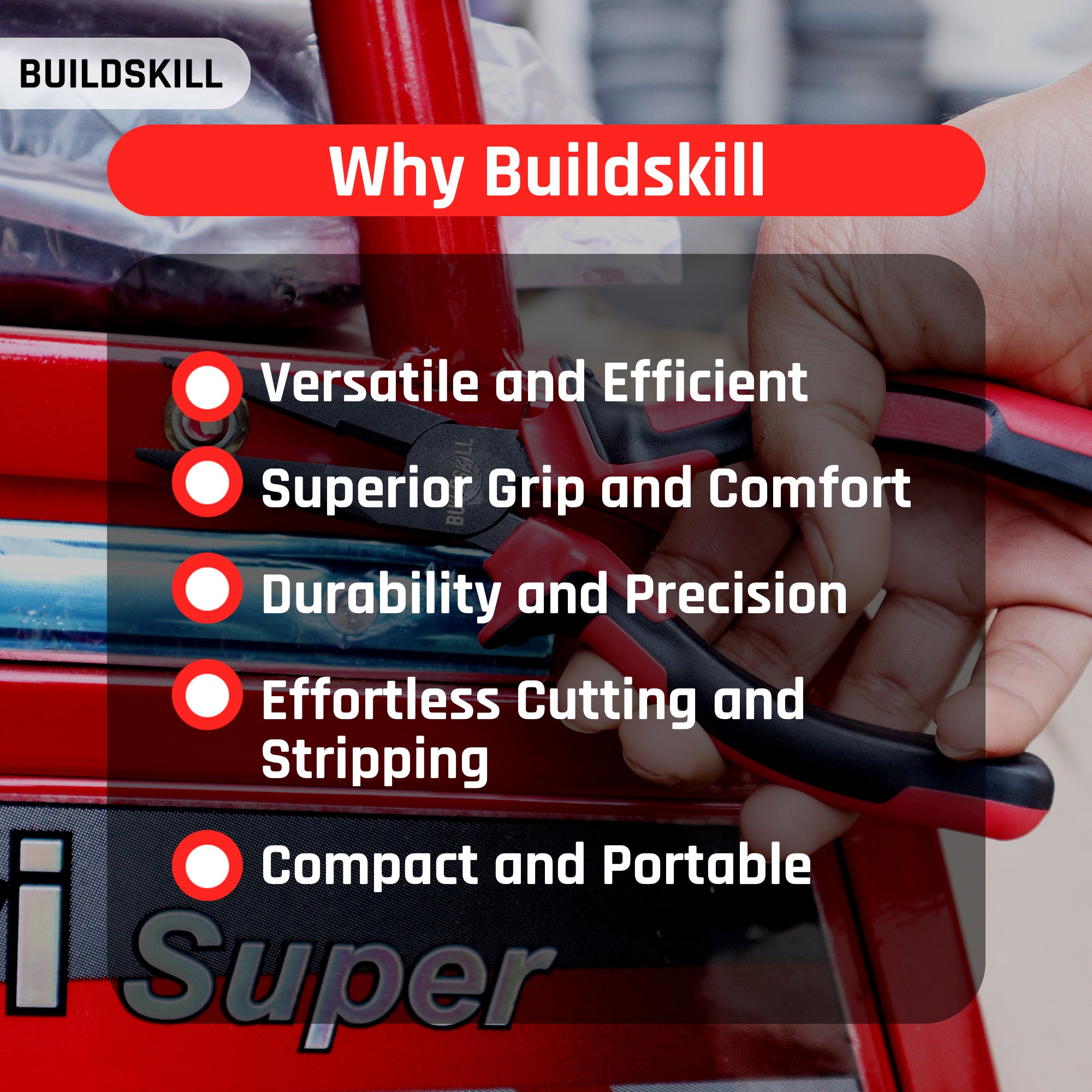 Buildskill Nose Plier (Red)